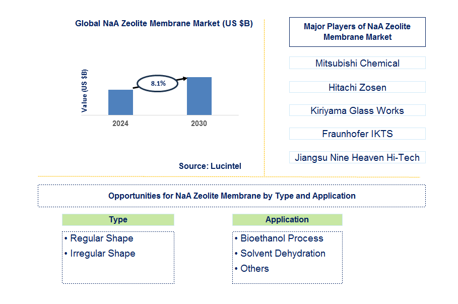 NaA Zeolite Membrane Trends and Forecast